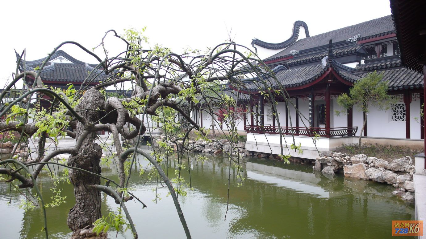 点击在新窗口查看原始图片