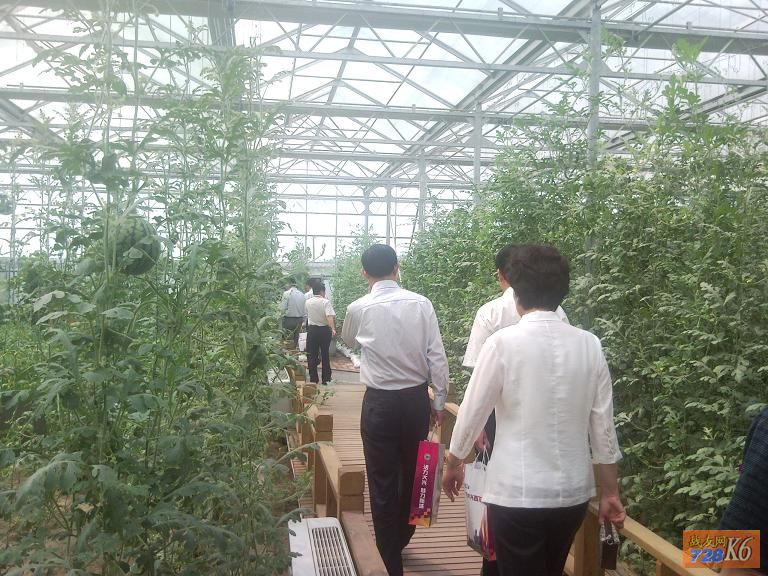点击在新窗口查看原始图片