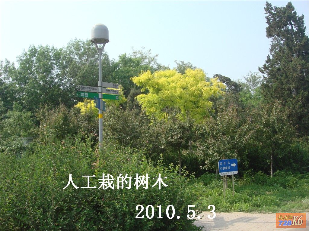 点击在新窗口查看原始图片