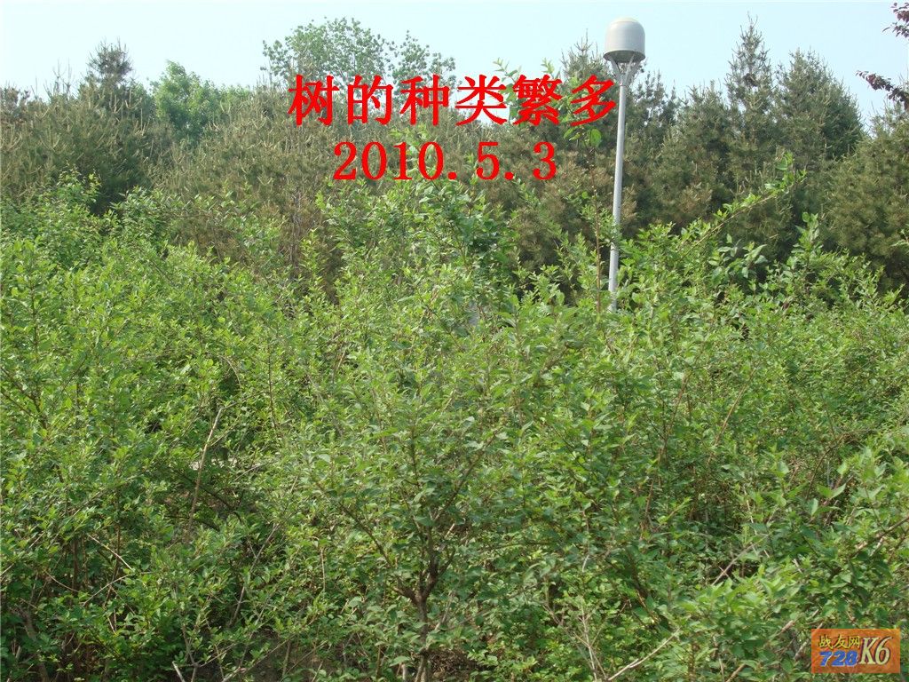 点击在新窗口查看原始图片
