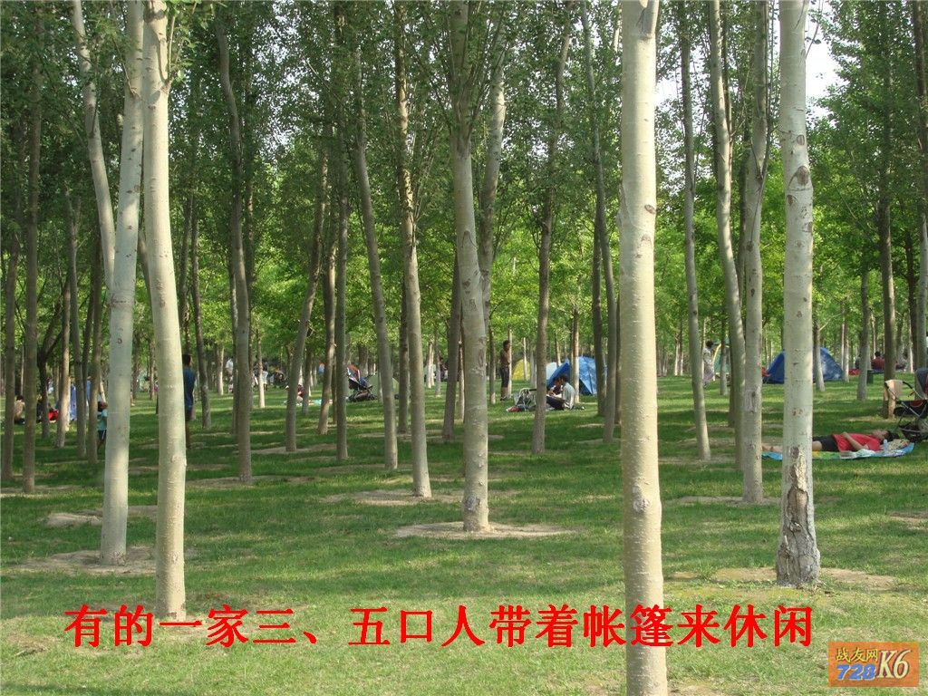点击在新窗口查看原始图片
