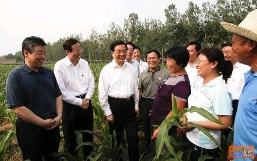 点击在新窗口查看原始图片
