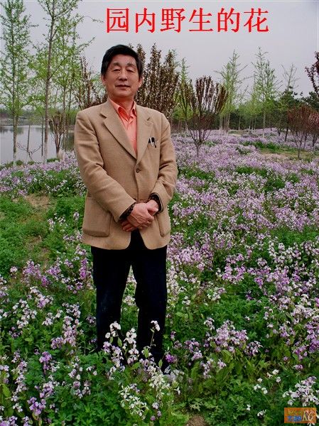 点击在新窗口查看原始图片