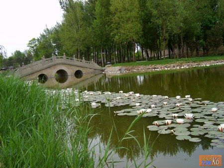 点击在新窗口查看原始图片
