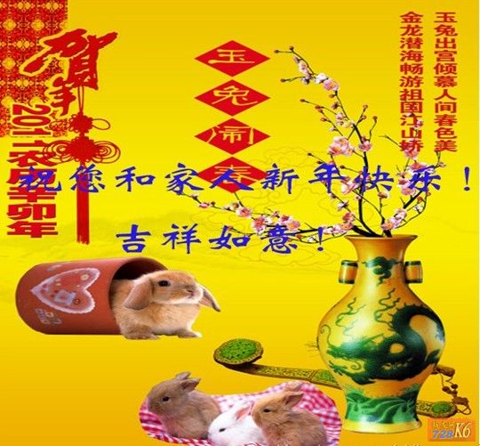 点击在新窗口查看原始图片