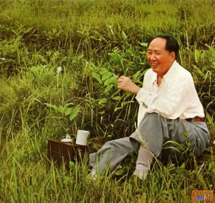 点击在新窗口查看原始图片