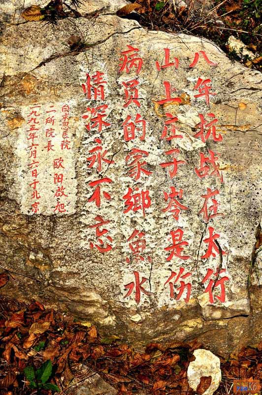 点击在新窗口查看原始图片