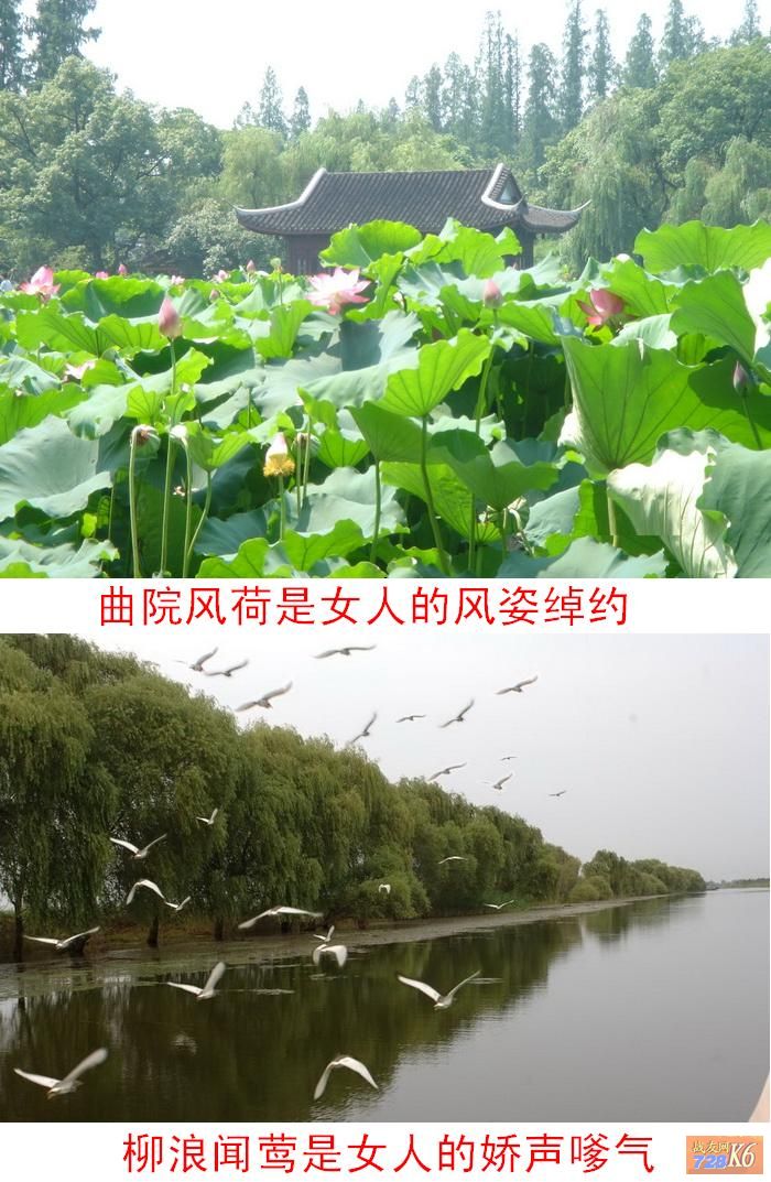 点击在新窗口查看原始图片