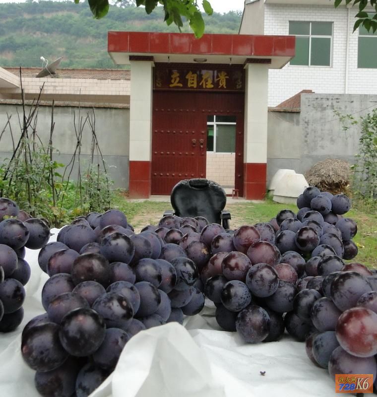 点击在新窗口查看原始图片