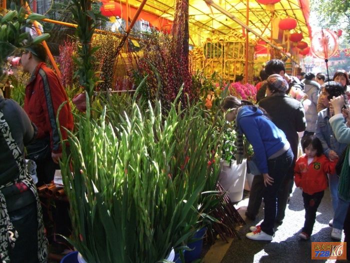 点击在新窗口查看原始图片