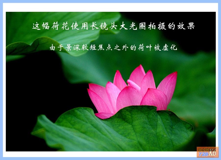 点击在新窗口查看原始图片