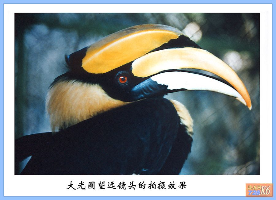 点击在新窗口查看原始图片