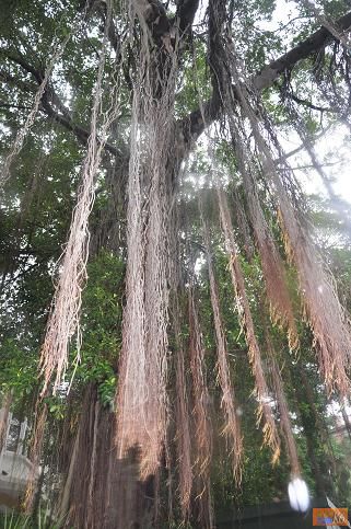 点击在新窗口查看原始图片