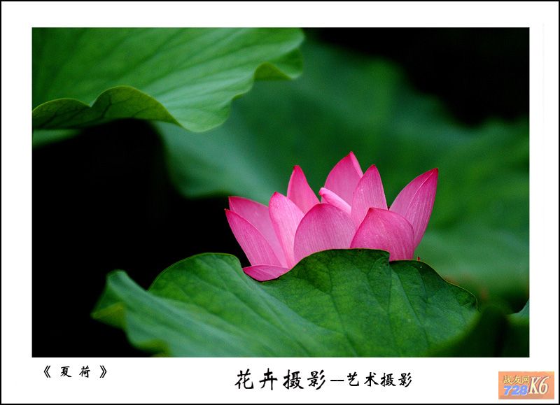 点击在新窗口查看原始图片
