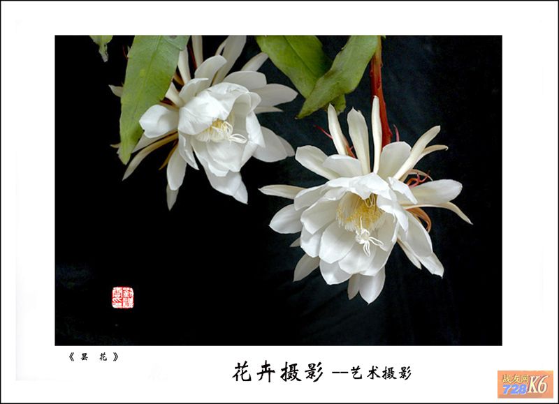 点击在新窗口查看原始图片