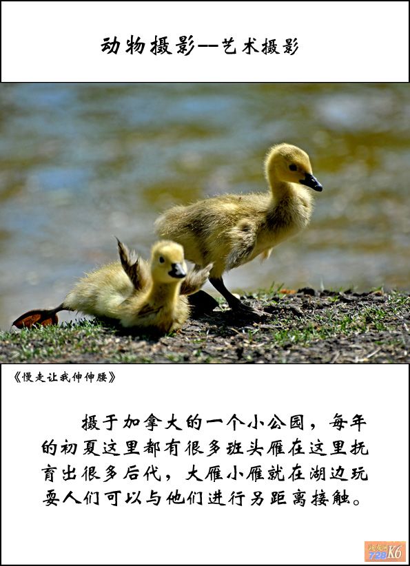 点击在新窗口查看原始图片