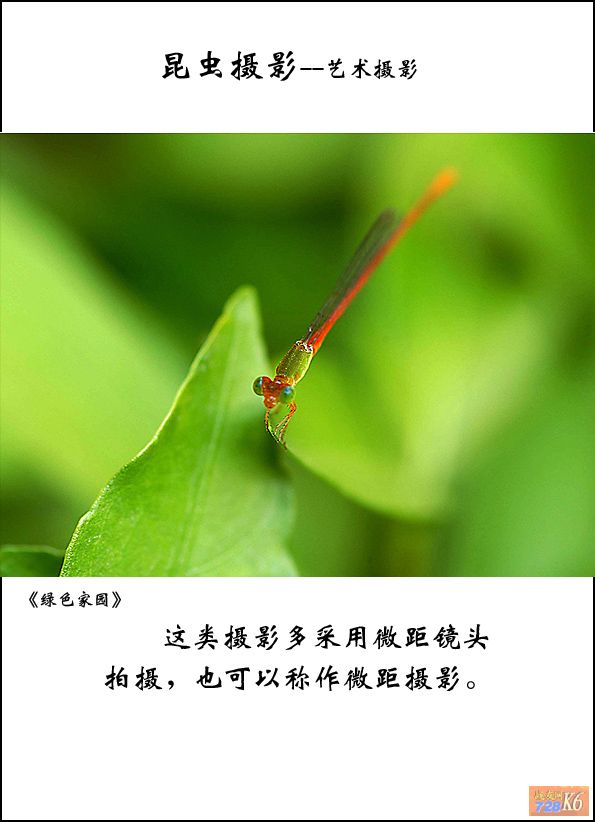 点击在新窗口查看原始图片