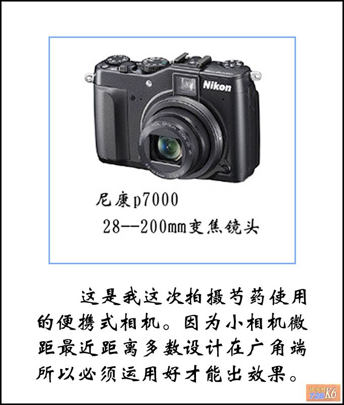 点击在新窗口查看原始图片