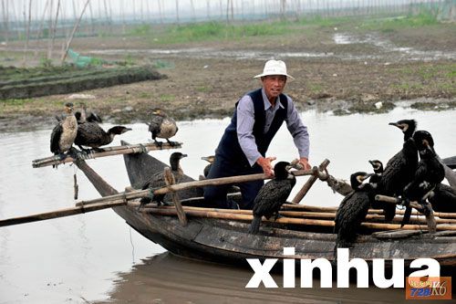 点击在新窗口查看原始图片