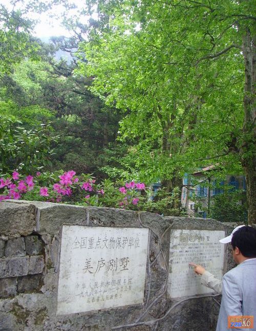 点击在新窗口查看原始图片
