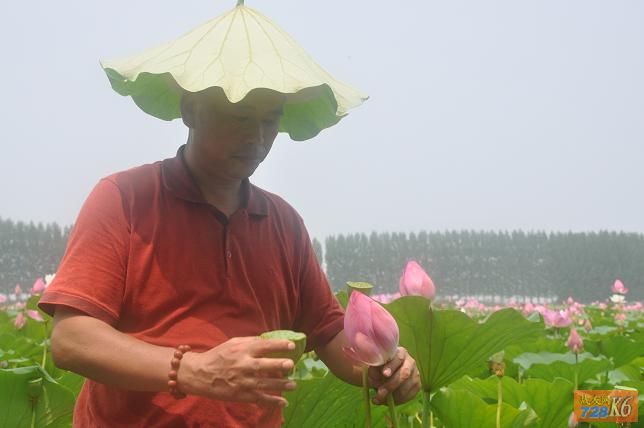 点击在新窗口查看原始图片