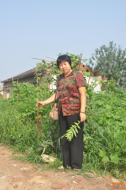 点击在新窗口查看原始图片