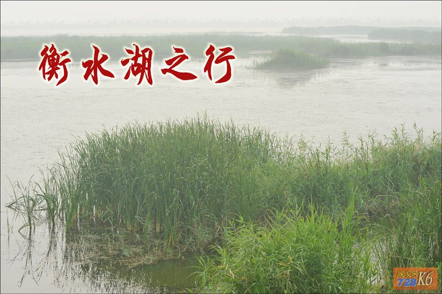 点击在新窗口查看原始图片