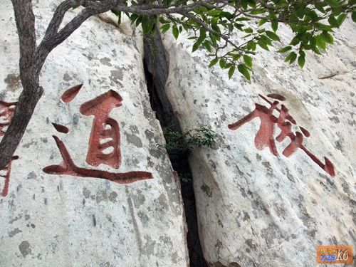 点击在新窗口查看原始图片