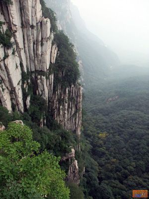 点击在新窗口查看原始图片
