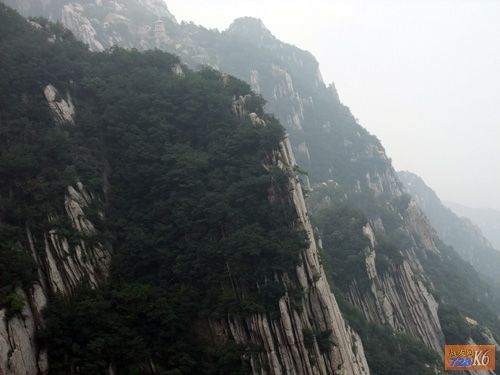 点击在新窗口查看原始图片