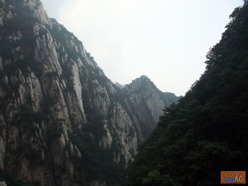 点击在新窗口查看原始图片