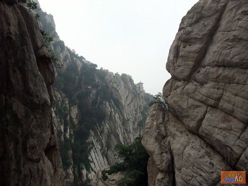 点击在新窗口查看原始图片