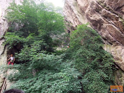 点击在新窗口查看原始图片