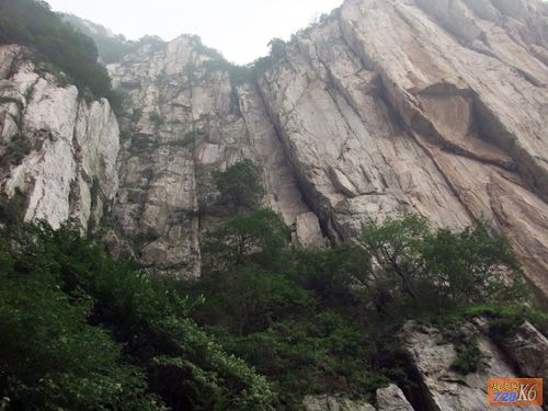 点击在新窗口查看原始图片