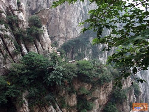 点击在新窗口查看原始图片