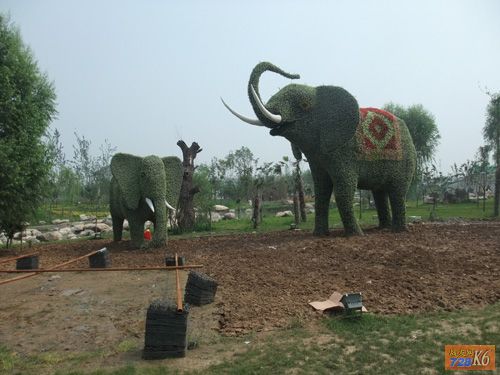 点击在新窗口查看原始图片