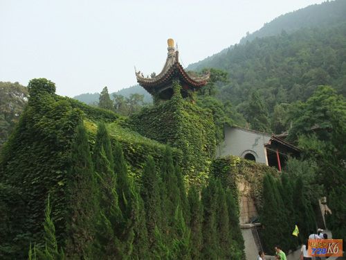点击在新窗口查看原始图片