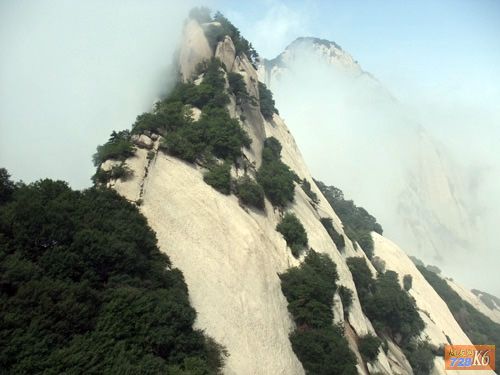 点击在新窗口查看原始图片