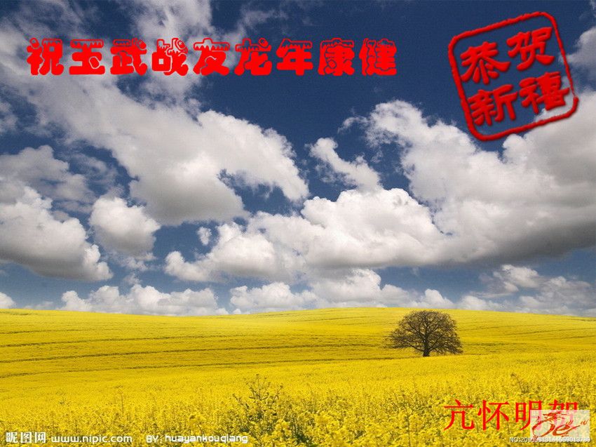 点击在新窗口查看原始图片