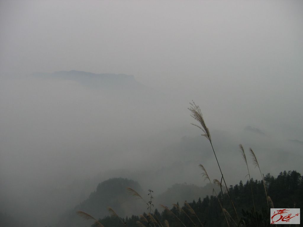 点击在新窗口查看原始图片