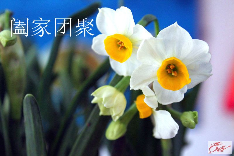 点击在新窗口查看原始图片