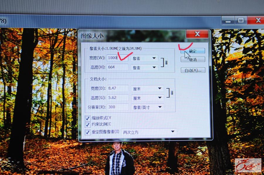 点击在新窗口查看原始图片
