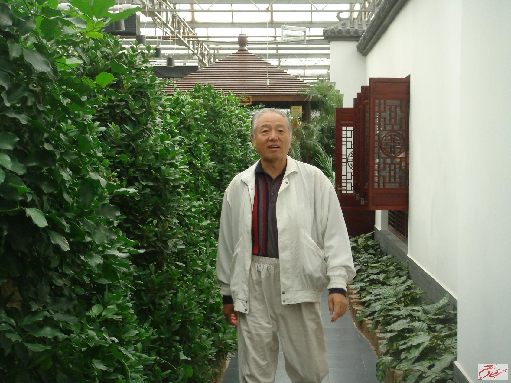点击在新窗口查看原始图片