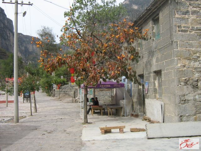 点击在新窗口查看原始图片