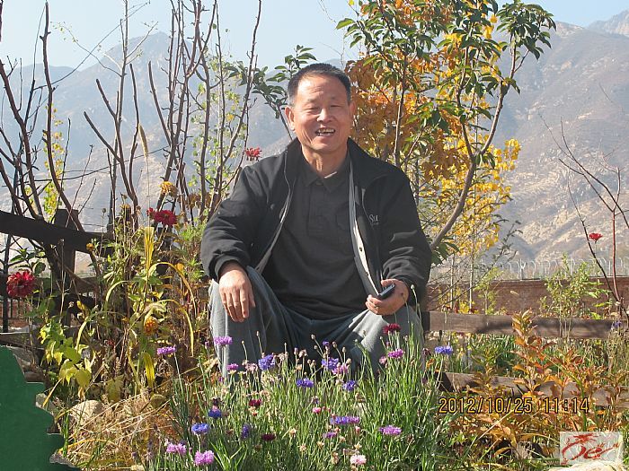 点击在新窗口查看原始图片