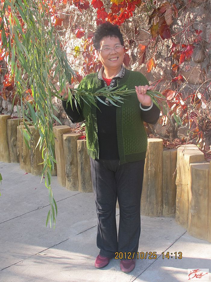 点击在新窗口查看原始图片
