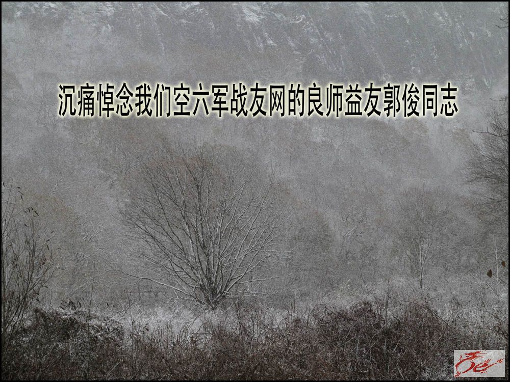 点击在新窗口查看原始图片
