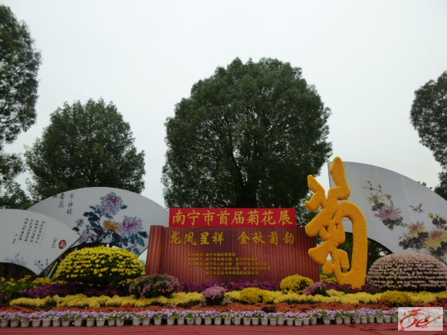 点击在新窗口查看原始图片