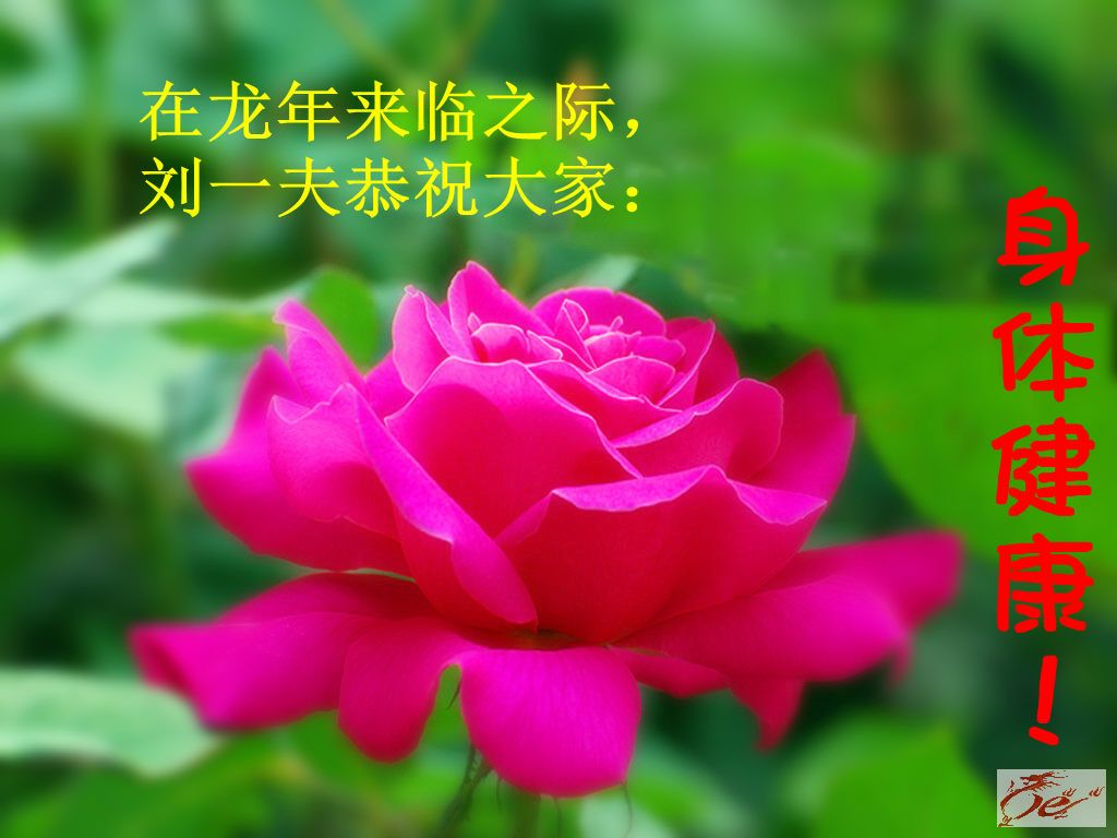 点击在新窗口查看原始图片