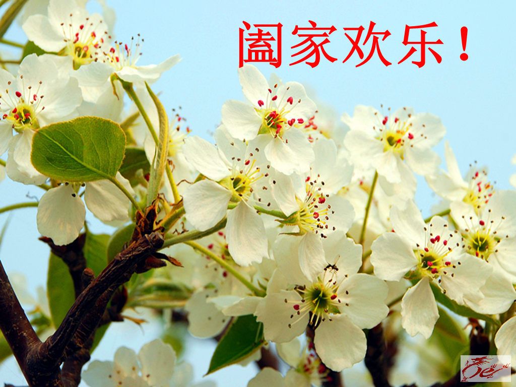 点击在新窗口查看原始图片
